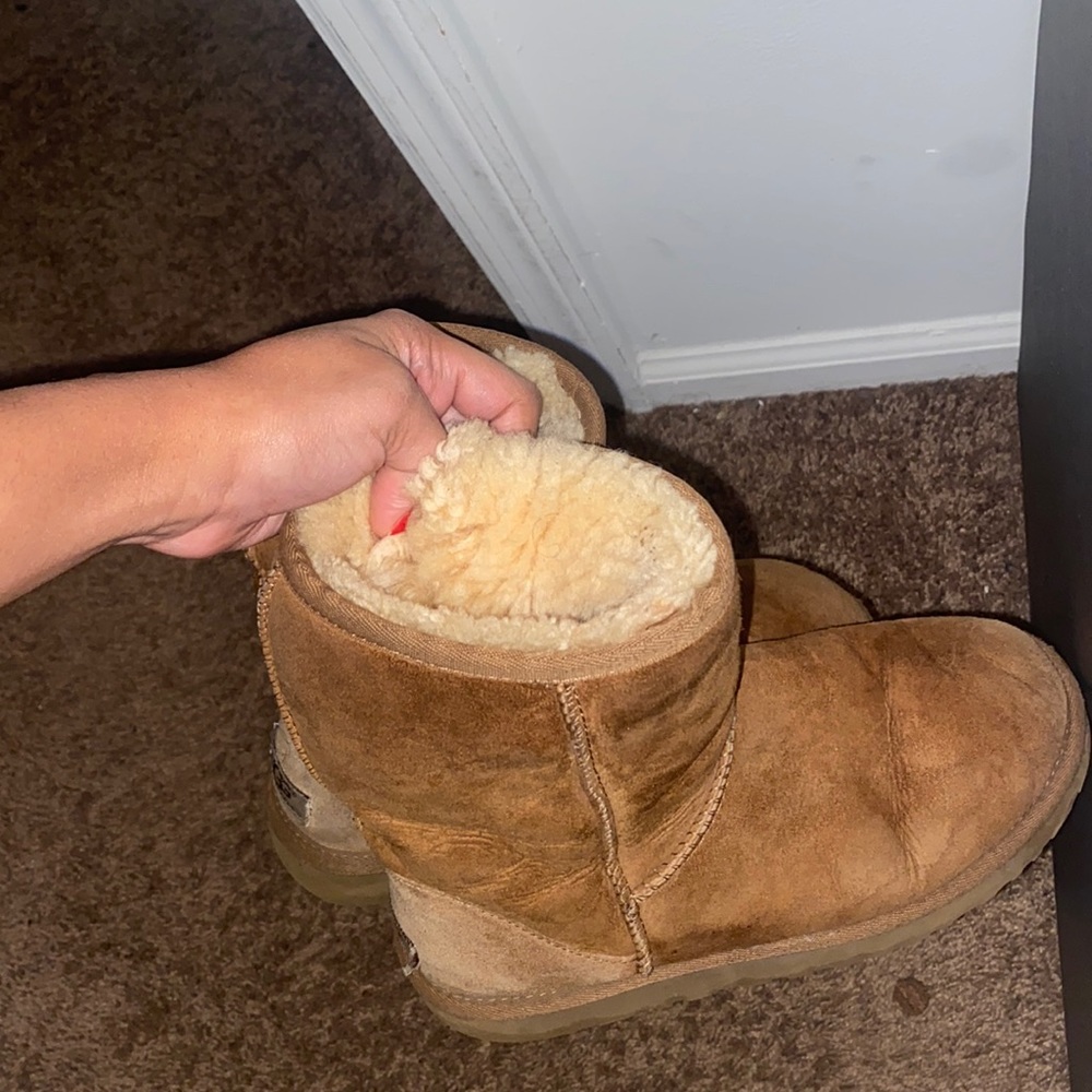 Used chestnut Uggs